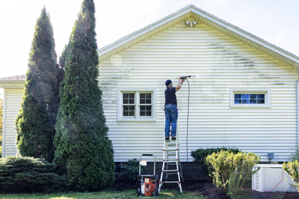 Paint Preparation in Lake Of The Woods, IL